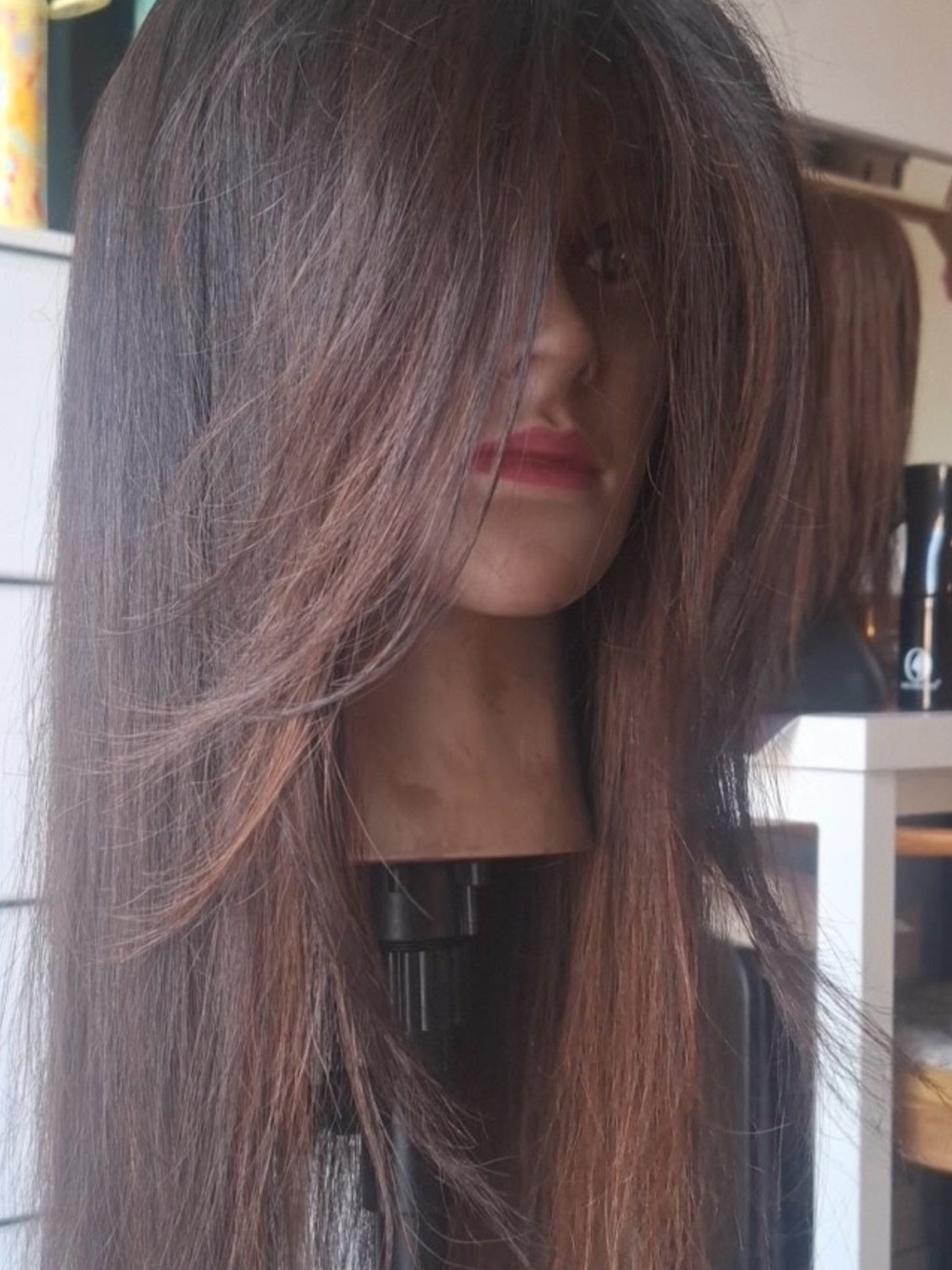Women’s Long Layered Brown Wig - Natural Brown Hair